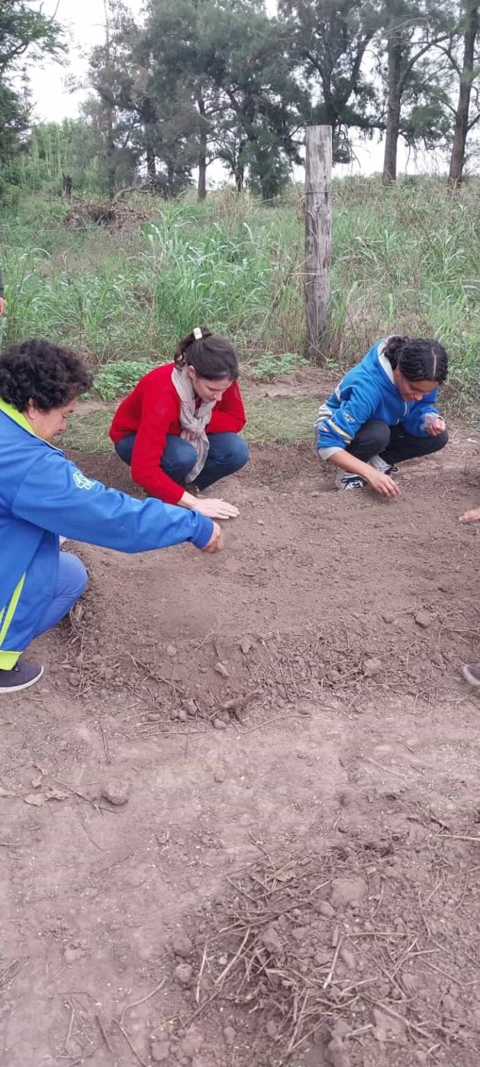 EES N° 124 ANEXO - Huerta Escolar 5