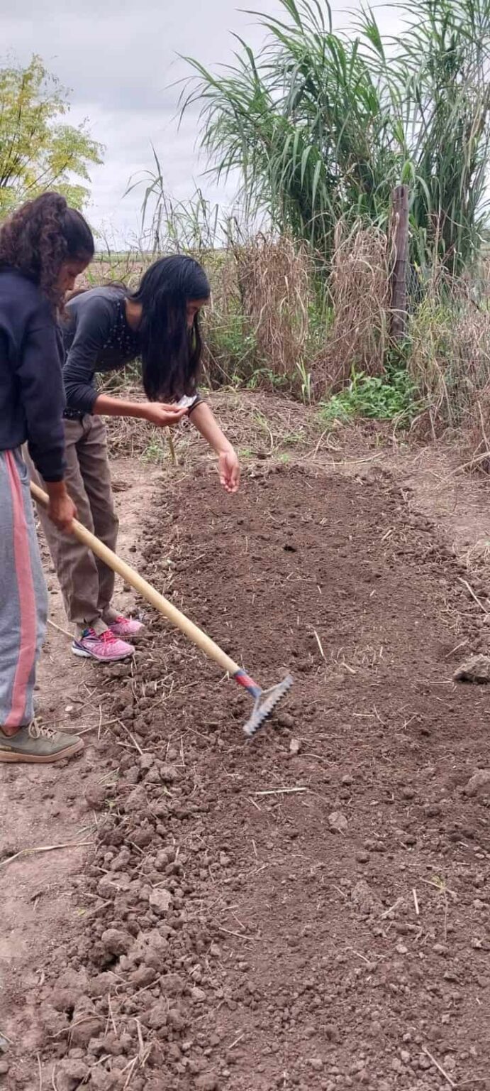EES N° 124 ANEXO - Huerta Escolar 8