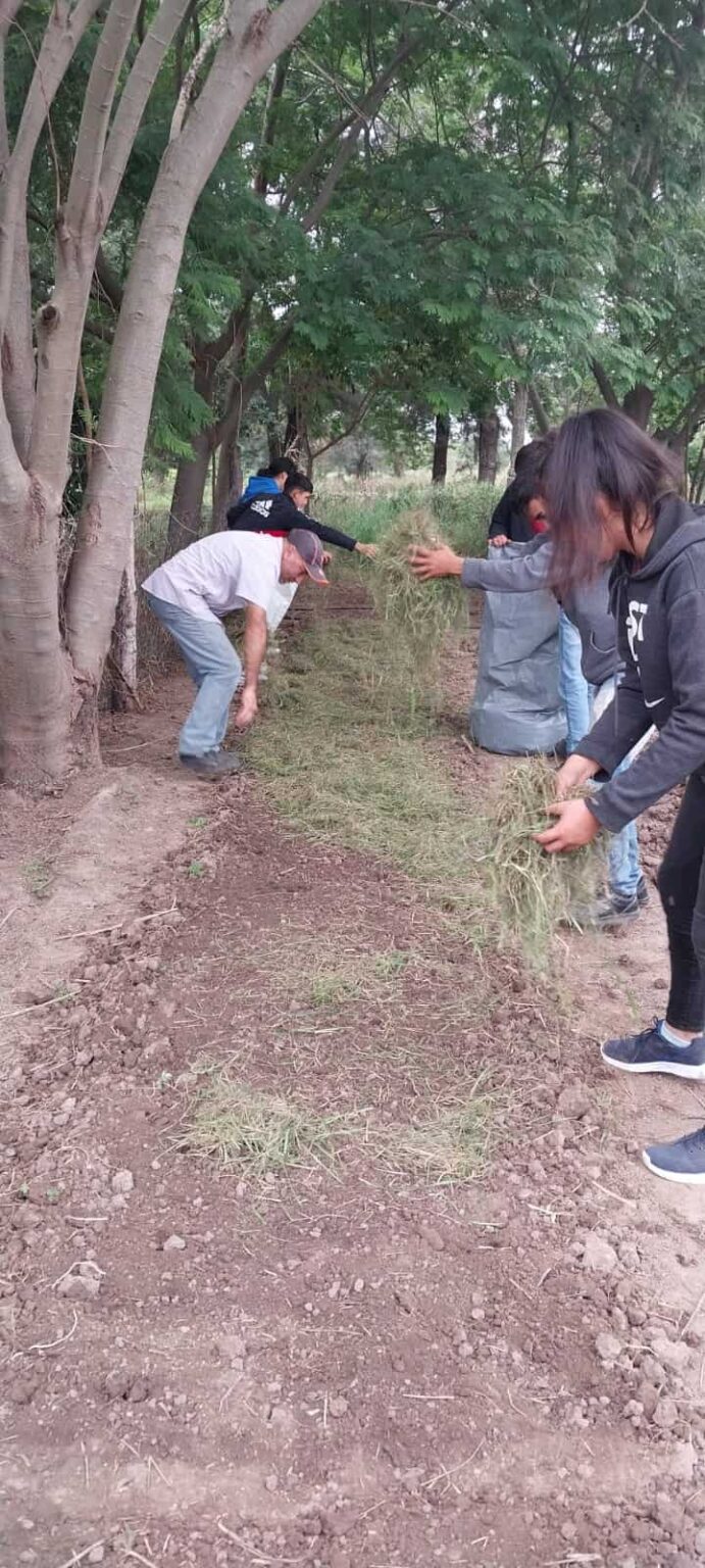 EES N° 124 ANEXO - Huerta Escolar 9